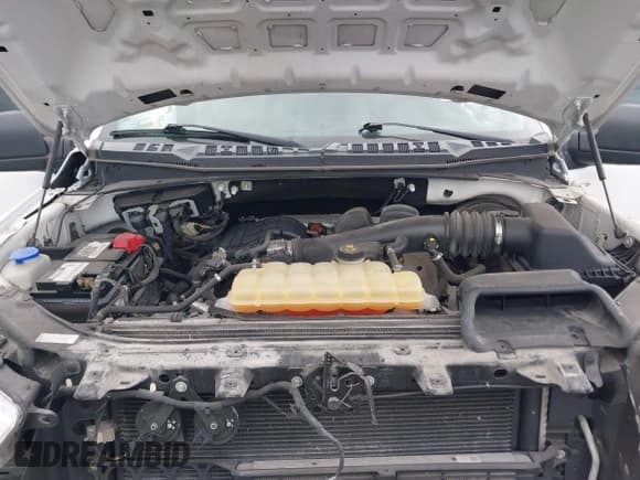 ✅ 2019 Ford F-150 XL • VIN: 1FTMF1CB5KKC05498 • Lot: 41997380. Listed on IAAI with 72,804 mi. Free auction sales archive from the USA and detailed vehicle history report at DreamBid. Image 10.