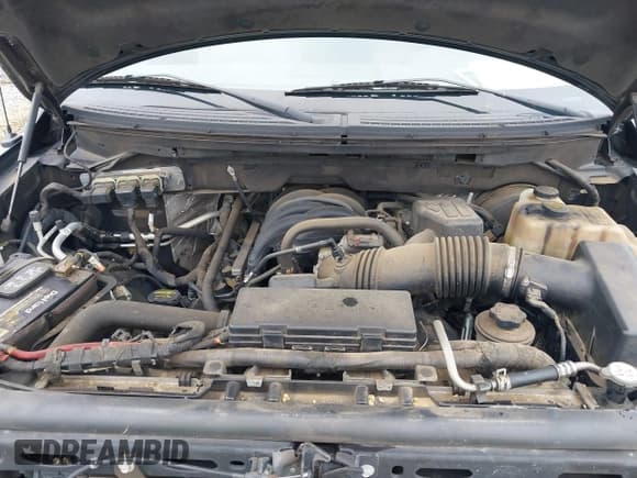 ✅ 2010 Ford F-150 XL • VIN: 1FTEX1C84AFA29699 • Lot: 42924550. Listed on IAAI with 120,618 mi. Free auction sales archive from the USA and detailed vehicle history report at DreamBid. Image 10.