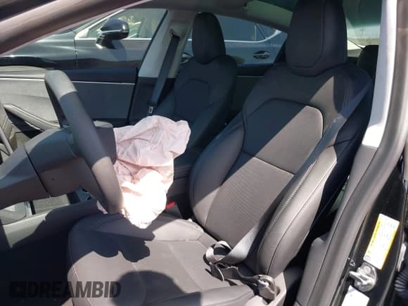 ✅ 2024 Tesla Model 3 • VIN: 5YJ3E1EA1RF821113 • Lot: 42503997. Wystawiony na IAAI z przebiegiem 9 565 mil. Bezpłatny archiwum sprzedaży aukcyjnych z USA i szczegółowy raport historii pojazdu na DreamBid. Zdjęcie 21.