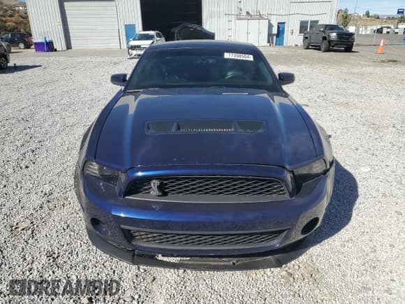✅ 2010 Ford Mustang GT500 • VIN: 1ZVBP8JS1A5105926 • Лот: 77398504. Опубликован ранее на Copart с пробегом 63 699 миль. Бесплатный доступ к архиву аукционных продаж из США и подробный отчёт об истории автомобиля на DreamBid. Изображение 5.