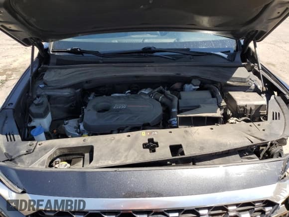 ✅ 2020 Hyundai Santa Fe SEL • VIN: 5NMS3CAA6LH194952 • Lot: 63210793. Wystawiony na Copart z przebiegiem 39 703 mil. Bezpłatny archiwum sprzedaży aukcyjnych z USA i szczegółowy raport historii pojazdu na DreamBid. Zdjęcie 12.