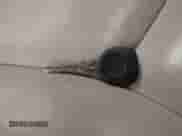 2011 Chevrolet Impala LT Fleet z VIN 2G1WG5EK3B1203073, wystawiony jako IAAI lot #43533604 z przebiegiem 204 975 mil mil oraz . Historia ofert i sprzedaży dostępna na DreamBid. Obrazek 11.