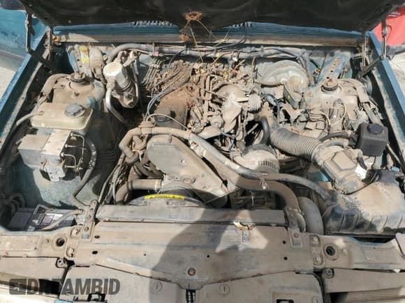 ✅ 1994 Volvo 900 Action • VIN: YV1JS8319R1170313 • Лот: 51833705. Опубликован ранее на Copart с пробегом 224 375 миль. Бесплатный доступ к архиву аукционных продаж из США и подробный отчёт об истории автомобиля на DreamBid. Изображение 11.