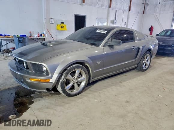 ✅ 2009 Ford Mustang GT • VIN: 1ZVHT82H995145580 • Лот: 96566365. Опубликован ранее на Copart с пробегом 97 809 миль. Бесплатный доступ к архиву аукционных продаж из США и подробный отчёт об истории автомобиля на DreamBid. Изображение 1.
