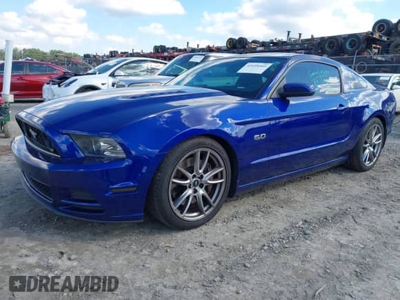 2014 Ford Mustang GT с VIN 1ZVBP8CF5E5318562, выставлен на аукционе IAAI как лот 43458560 с пробегом 96 858 миль миль и . История ставок и продаж доступна на DreamBid. Изображение 17.
