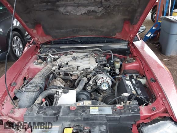 ✅ 2001 Ford Mustang Standard • VIN: 1FAFP40411F119325 • Lot: 43735052. Listed on IAAI with 145,487 mi. Free auction sales archive from the USA and detailed vehicle history report at DreamBid. Image 10.