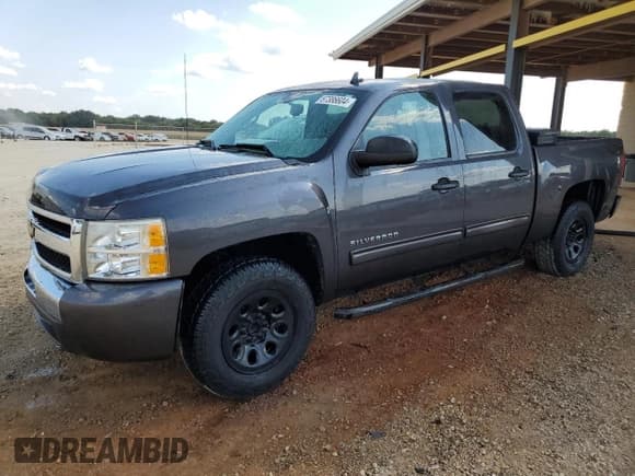 ✅ 2010 Chevrolet Silverado 1500 LS • VIN: 3GCRCREA1AG283557 • Lot: 67386604. Listed on Copart with 210,305 mi. Free auction sales archive from the USA and detailed vehicle history report at DreamBid. Image 1.