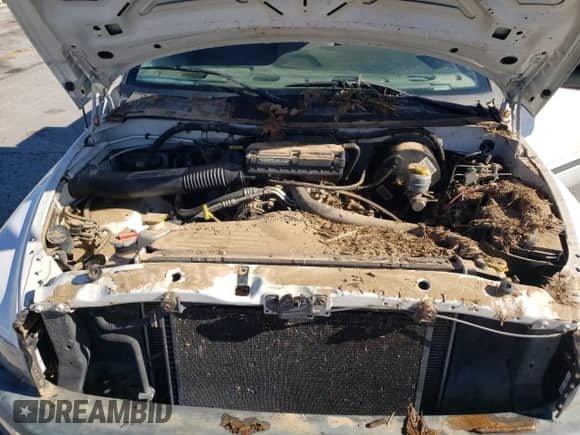 1999 Dodge 1500 с VIN 3B7HF13Z7XG136326, выставлен на аукционе Copart как лот 80277284 с пробегом Не указан миль и Списание • Salvage title. История ставок и продаж доступна на DreamBid. Изображение 11.