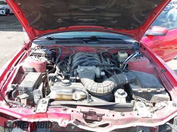 ✅ 2008 Ford Mustang GT Deluxe • VIN: 1ZVHT82H685148435 • Lot: 43207475. Listed on IAAI with 118,398 mi. Free auction sales archive from the USA and detailed vehicle history report at DreamBid. Image 10.