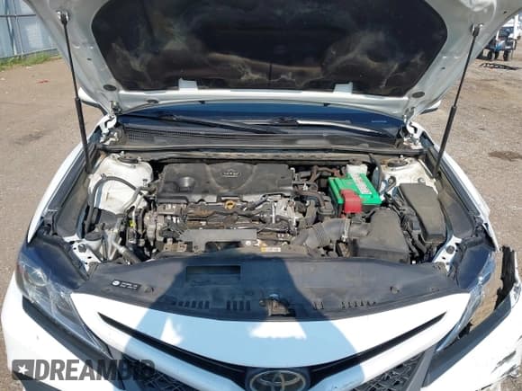 ✅ 2019 Toyota Camry SE • VIN: 4T1B11HK0KU730600 • Lot: 42926285. Listed on IAAI with 190,001 mi. Free auction sales archive from the USA and detailed vehicle history report at DreamBid. Image 10.