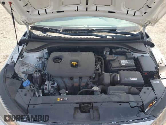 ✅ 2019 Hyundai Elantra SE • VIN: 5NPD74LF9KH453110 • Lot: 61613405. Listed on Copart with 116,197 mi. Free auction sales archive from the USA and detailed vehicle history report at DreamBid. Image 11.