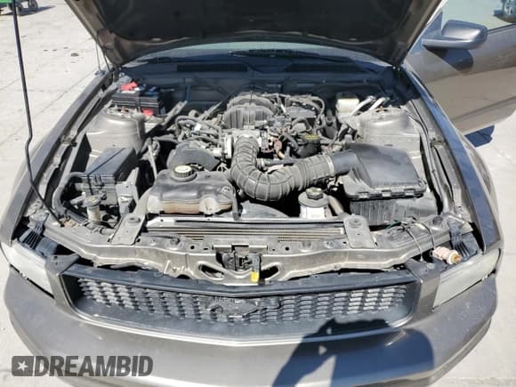 ✅ 2005 Ford Mustang Deluxe • VIN: 1ZVFT80N655125166 • Lot: 81291685. Listed on Copart with 134,474 mi. Free auction sales archive from the USA and detailed vehicle history report at DreamBid. Image 11.