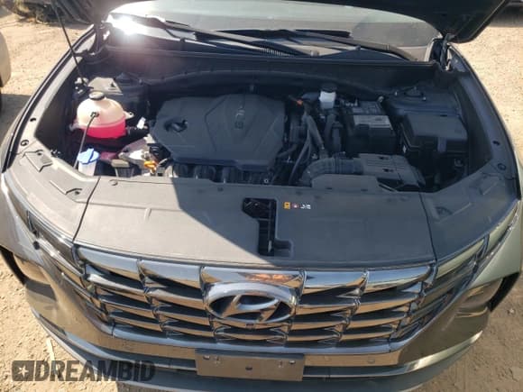 ✅ 2022 Hyundai Tucson Limited • VIN: 5NMJECAE2NH024597 • Lot: 68751004. Wystawiony na Copart z przebiegiem 31 539 mil. Bezpłatny archiwum sprzedaży aukcyjnych z USA i szczegółowy raport historii pojazdu na DreamBid. Zdjęcie 11.