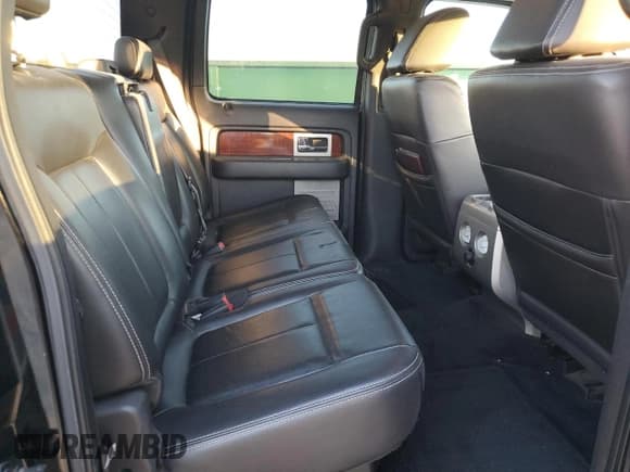 ✅ 2009 Ford F-150 XL • VIN: 1FTPW14V69FB11770 • Lot: 89556885. Wystawiony na Copart z przebiegiem 249 561 mil. Bezpłatny archiwum sprzedaży aukcyjnych z USA i szczegółowy raport historii pojazdu na DreamBid. Zdjęcie 10.