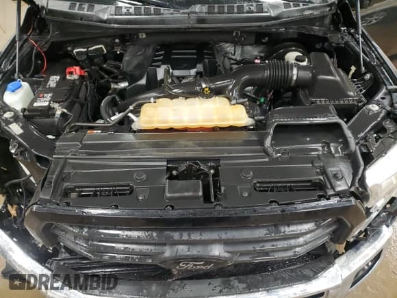 ✅ 2016 Ford F-150 XL • VIN: 1FTMF1CP8GFA70612 • Lot: 87198194. Wystawiony na Copart z przebiegiem 131 681 mil. Bezpłatny archiwum sprzedaży aukcyjnych z USA i szczegółowy raport historii pojazdu na DreamBid. Zdjęcie 11.