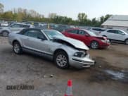 ✅ 2009 Ford Mustang • VIN: 1ZVHT84N095114611 • Lot: 43427616. Listed on IAAI with 81,282 mi. Free auction sales archive from the USA and detailed vehicle history report at DreamBid. Image 1.