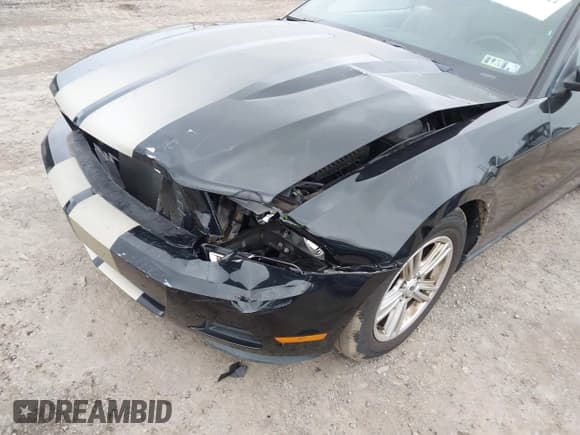 ✅ 2011 Ford Mustang V6 • VIN: 1ZVBP8EM3B5161671 • Lot: 43662644. Listed on IAAI with 54,327 mi. Free auction sales archive from the USA and detailed vehicle history report at DreamBid. Image 6.