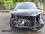 ✅ 2019 Honda Pilot EX-L • VIN: 5FNYF5H52KB041345 • Lot: 42029069. Listed on IAAI with 55,231 mi. Free auction sales archive from the USA and detailed vehicle history report at DreamBid. Image 13.