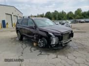 ✅ 2023 Hyundai Palisade Limited • VIN: KM8R5DGE9PU575276 • Лот: 77699744. Опубликован ранее на Copart с пробегом 36 068 миль. Бесплатный доступ к архиву аукционных продаж из США и подробный отчёт об истории автомобиля на DreamBid. Изображение 14.