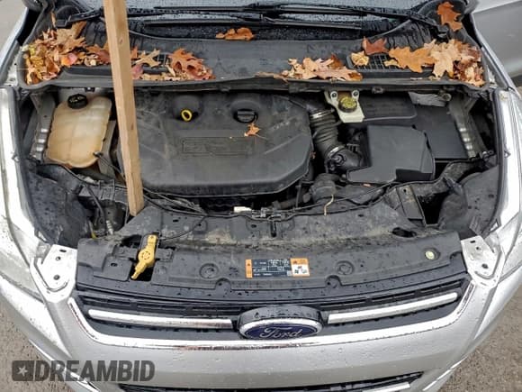 ✅ 2014 Ford Escape Titanium • VIN: 1FMCU9J91EUC42973 • Lot: 94269625. Wystawiony na Copart z przebiegiem 197 777 mil. Bezpłatny archiwum sprzedaży aukcyjnych z USA i szczegółowy raport historii pojazdu na DreamBid. Zdjęcie 12.