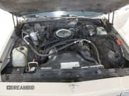 ✅ 1982 Chevrolet Caprice • VIN: 1G1AN69J9CX100512 • Лот: 43874871. Опубликован ранее на IAAI с пробегом 49 045 миль. Бесплатный доступ к архиву аукционных продаж из США и подробный отчёт об истории автомобиля на DreamBid. Изображение 10.