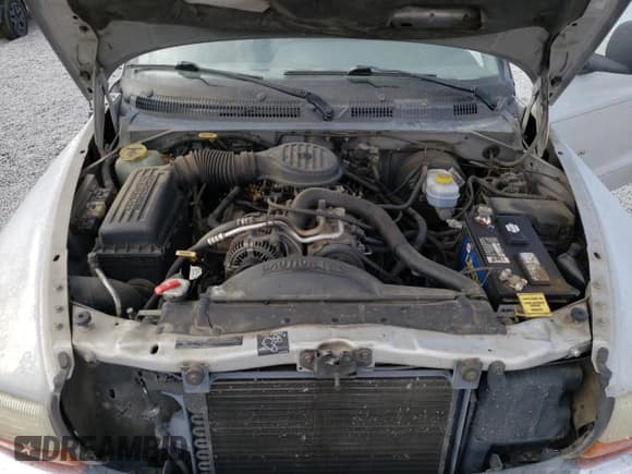 ✅ 1999 Dodge Dakota SLT • VIN: 1B7GG22Y2XS165166 • Lot: 47440435. Wystawiony na Copart z przebiegiem 167 345 mil. Bezpłatny archiwum sprzedaży aukcyjnych z USA i szczegółowy raport historii pojazdu na DreamBid. Zdjęcie 13.