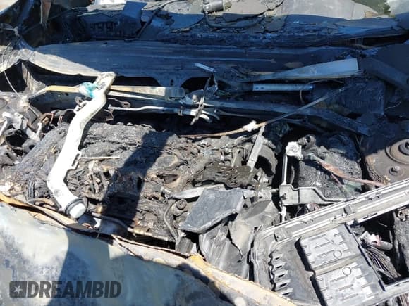 ✅ 2020 Honda Civic LX • VIN: 2HGFC2F62LH545840 • Лот: 42119404. Опубликован ранее на IAAI с пробегом Не указан. Бесплатный доступ к архиву аукционных продаж из США и подробный отчёт об истории автомобиля на DreamBid. Изображение 10.