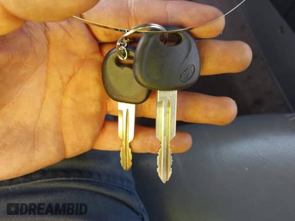 2004 Hyundai Santa Fe GLS z VIN KM8SC13EX4U799955, wystawiony jako IAAI lot #41240442 z przebiegiem 281 394 mil mil oraz . Historia ofert i sprzedaży dostępna na DreamBid. Obrazek 11.