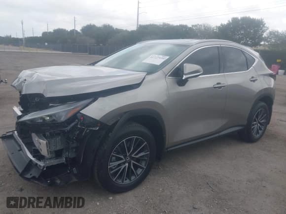 ✅ 2025 Lexus NX 250 • VIN: 2T2ADCAZ4SC024801 • Lot: 41727939. Listed on IAAI with 77 mi. Free auction sales archive from the USA and detailed vehicle history report at DreamBid. Image 18.