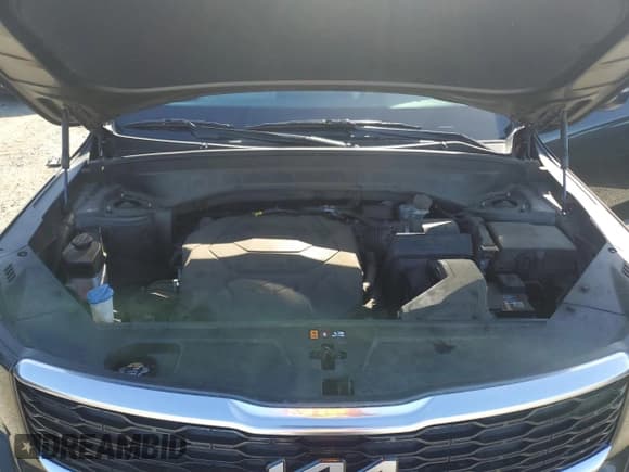 ✅ 2022 Kia Telluride EX • VIN: 5XYP3DHC4NG271804 • Лот: 91699575. Опубликован ранее на Copart с пробегом 54 124 миль. Бесплатный доступ к архиву аукционных продаж из США и подробный отчёт об истории автомобиля на DreamBid. Изображение 12.