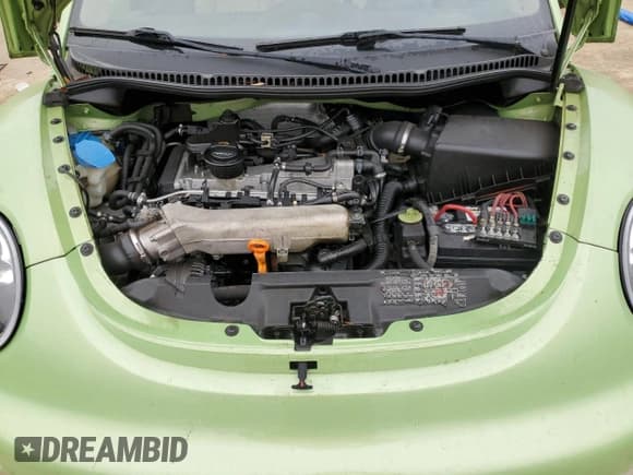 ✅ 2005 Volkswagen Beetle GLS • VIN: 3VWCD31Y15M316435 • Lot: 43012955. Listed on Copart with 99,428 mi. Free auction sales archive from the USA and detailed vehicle history report at DreamBid. Image 11.