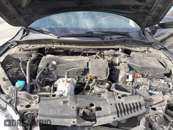 ✅ 2017 Honda Accord Sport SE • VIN: 1HGCR2F16HA010702 • Lot: 43242248. Wystawiony na IAAI z przebiegiem 148 017 mil. Bezpłatny archiwum sprzedaży aukcyjnych z USA i szczegółowy raport historii pojazdu na DreamBid. Zdjęcie 10.