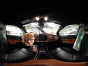 ✅ 2024 Jeep Compass Limited • VIN: 3C4NJDCN6RT129393 • Lot: 41625271. Wystawiony na IAAI z przebiegiem 12 506 mil. Bezpłatny archiwum sprzedaży aukcyjnych z USA i szczegółowy raport historii pojazdu na DreamBid. Zdjęcie 18.