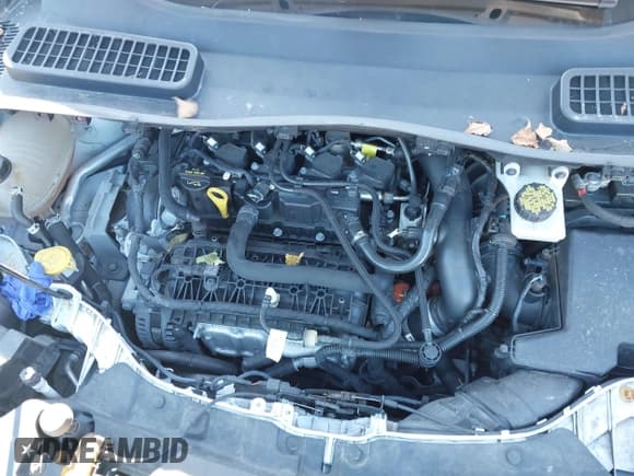 ✅ 2019 Ford Escape SE • VIN: 1FMCU9GD5KUA57039 • Lot: 43392020. Wystawiony na IAAI z przebiegiem 73 601 mil. Bezpłatny archiwum sprzedaży aukcyjnych z USA i szczegółowy raport historii pojazdu na DreamBid. Zdjęcie 10.