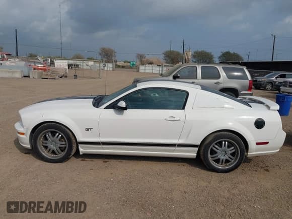 ✅ 2008 Ford Mustang GT Deluxe • VIN: 1ZVHT82H885116442 • Lot: 43729269. Listed on IAAI with 91,624 mi. Free auction sales archive from the USA and detailed vehicle history report at DreamBid. Image 14.