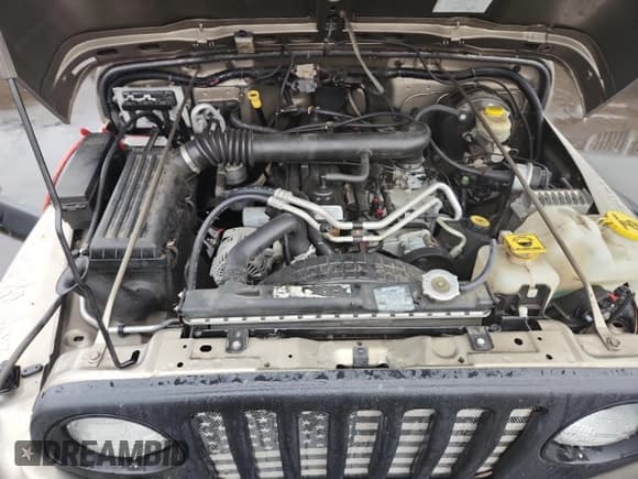 ✅ 2004 Jeep Wrangler Rubicon • VIN: 1J4FA69S14P800280 • Lot: 82372155. Wystawiony na Copart z przebiegiem 38 663 mil. Bezpłatny archiwum sprzedaży aukcyjnych z USA i szczegółowy raport historii pojazdu na DreamBid. Zdjęcie 11.