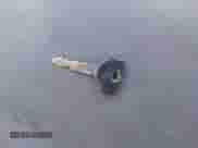 1998 Dodge 1500 с VIN 3B7HF12Y4WM280974, выставлен на аукционе IAAI как лот 41343578 с пробегом 183 694 миль миль и . История ставок и продаж доступна на DreamBid. Изображение 11.