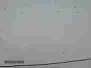 2025 Hyundai Elantra SE с VIN KMHLL4DG9SU974411, выставлен на аукционе Copart как лот 69435205 с пробегом 5 897 миль миль и Списание • Salvage title. История ставок и продаж доступна на DreamBid. Изображение 14.