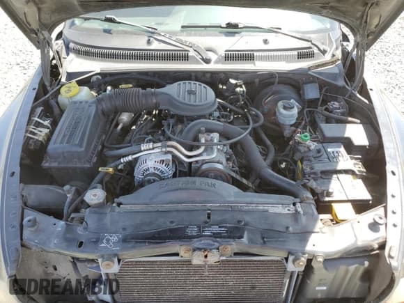 ✅ 1999 Dodge Durango • VIN: 1B4HR28Z3XF618019 • Lot: 61286655. Wystawiony na Copart z przebiegiem 210 992 mil. Bezpłatny archiwum sprzedaży aukcyjnych z USA i szczegółowy raport historii pojazdu na DreamBid. Zdjęcie 12.