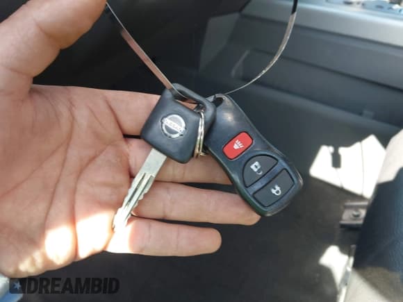 ✅ 2005 Nissan Titan LE • VIN: 1N6AA07B55N555963 • Lot: 42137571. Listed on IAAI with Not provided. Free auction sales archive from the USA and detailed vehicle history report at DreamBid. Image 11.