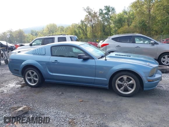 ✅ 2006 Ford Mustang GT Deluxe • VIN: 1ZVHT82H465228409 • Lot: 43337448. Wystawiony na IAAI z przebiegiem 196 538 mil. Bezpłatny archiwum sprzedaży aukcyjnych z USA i szczegółowy raport historii pojazdu na DreamBid. Zdjęcie 13.