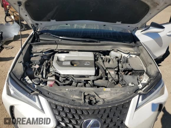 ✅ 2020 Lexus UX 250h • VIN: JTHP9JBH1L2021394 • Lot: 85537075. Wystawiony na Copart z przebiegiem 166 050 mil. Bezpłatny archiwum sprzedaży aukcyjnych z USA i szczegółowy raport historii pojazdu na DreamBid. Zdjęcie 11.