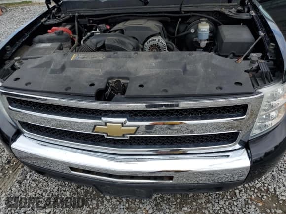 ✅ 2009 Chevrolet Silverado 1500 • VIN: 1GCEK240X9Z213021 • Лот: 70754345. Опубликован ранее на Copart с пробегом 46 609 миль. Бесплатный доступ к архиву аукционных продаж из США и подробный отчёт об истории автомобиля на DreamBid. Изображение 11.