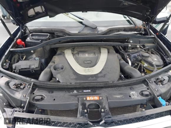 ✅ 2010 Mercedes-Benz GL 450 • VIN: 4JGBF7BEXAA557952 • Lot: 42973609. Wystawiony na IAAI z przebiegiem 128 181 mil. Bezpłatny archiwum sprzedaży aukcyjnych z USA i szczegółowy raport historii pojazdu na DreamBid. Zdjęcie 10.