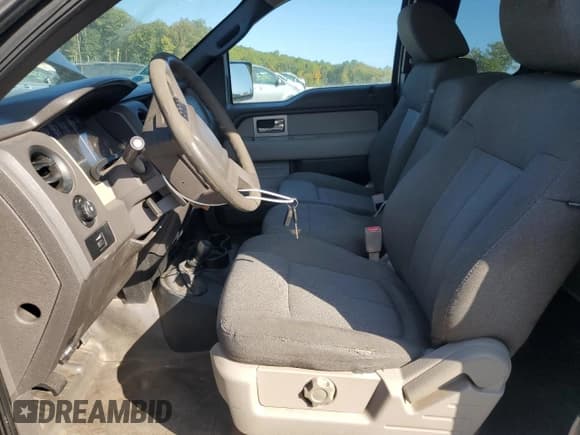 ✅ 2009 Ford F-150 STX • VIN: 1FTRX14W99FA29319 • Lot: 81310685. Wystawiony na Copart z przebiegiem 175 451 mil. Bezpłatny archiwum sprzedaży aukcyjnych z USA i szczegółowy raport historii pojazdu na DreamBid. Zdjęcie 7.