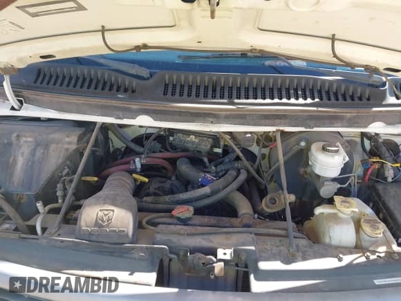 ✅ 2000 Dodge RAM • VIN: 2B7HB11Y0YK105364 • Lot: 43547863. Wystawiony na IAAI z przebiegiem Nie podano. Bezpłatny archiwum sprzedaży aukcyjnych z USA i szczegółowy raport historii pojazdu na DreamBid. Zdjęcie 10.