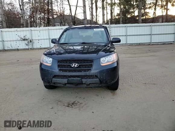 ✅ 2008 Hyundai Santa Fe GLS • VIN: 5NMSG73D98H208529 • Lot: 84091594. Listed on Copart with 255,898 mi. Free auction sales archive from the USA and detailed vehicle history report at DreamBid. Image 11.