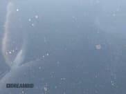 ✅ 2021 Porsche Taycan 4S • VIN: WP0AB2Y19MSA43336 • Lot: 43345182. Listed on IAAI with Not provided. Free auction sales archive from the USA and detailed vehicle history report at DreamBid. Image 16.