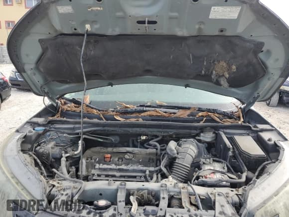 ✅ 2012 Honda CR-V EX • VIN: 2HKRM4H59CH613180 • Lot: 70894605. Wystawiony na Copart z przebiegiem 137 271 mil. Bezpłatny archiwum sprzedaży aukcyjnych z USA i szczegółowy raport historii pojazdu na DreamBid. Zdjęcie 11.