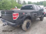 ✅ 2010 Ford F-150 XL • VIN: 1FTEX1EW7AFA75331 • Lot: 42226258. Listed on IAAI with 203,234 mi. Free auction sales archive from the USA and detailed vehicle history report at DreamBid. Image 4.